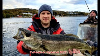 Рыбалка в Норвергии 2022 / 2 Часть.