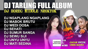 DJ NGAPLANG NGAPLANG  DJ TARLING FULL ALBUM MIDDLE NROKTOK