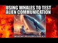 SETI Just Talked to a Whale To Test Alien Communication Ideas