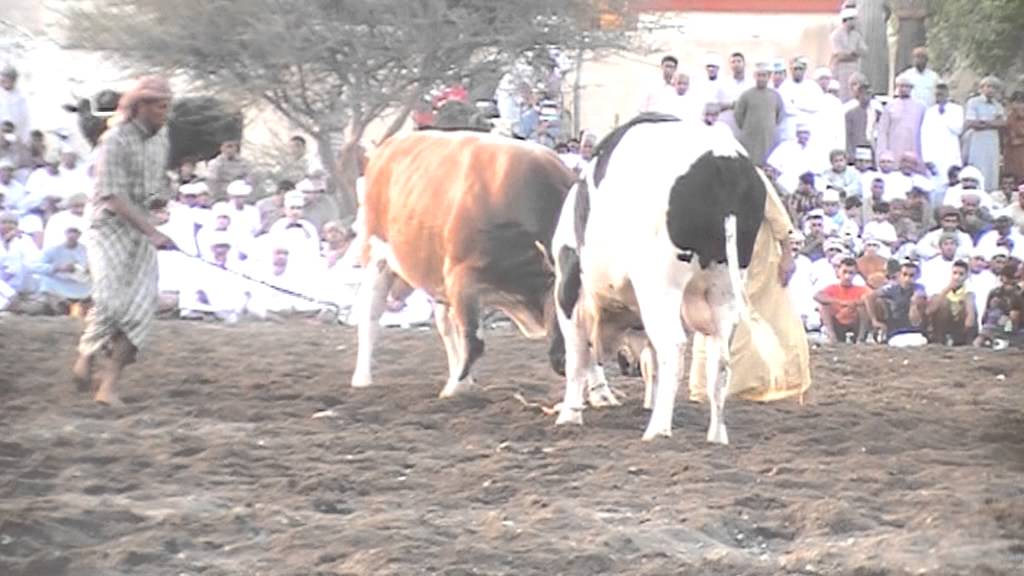 نار الجماهير والسيك - صدى الناروز