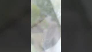 A Day In My Life With Alsyahra Exclusive