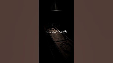 هذا بَصائِرُ لِلنّاسِ وَهُدًى وَرَحمَةٌ لِقَومٍ يوقِنونَ | محمد صديق المنشاوي | سورة الجاثية