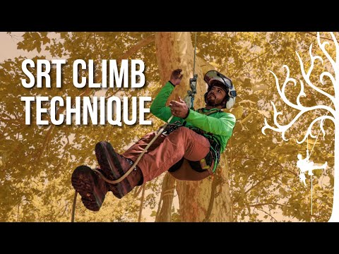 Tree Rigging Tips and Techniques that Improve Safety and Efficiency -  Rock-N-Arbor