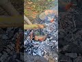Method You Must Try While Camping!! 🏕🔥🎬 #camping #bushcraft #outdoors #survival #lifehacks