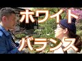 【カメラ】お寺の写真を雰囲気よく撮るには?ホワイトバランスの使い方!【一眼レフ】