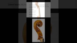 The Salabue Stradivarius From C. 1666 And 1716