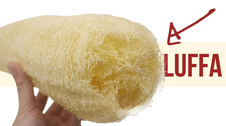 How Luffa Sponges are Made & How to Make Your Own Luffa - DayDayNews