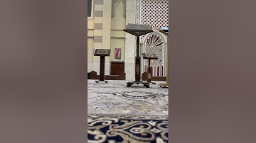 قرآن يُتلى🥺 | بصوت الشيخ القارئ: أنور الصبان