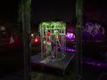 Experience the Vibrant Cage Dancing at The Surreal Garden in Austin 🌸