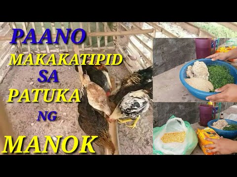 Video: Paano Magtipid Ng Manok