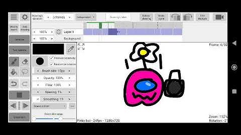 Rough animator bug????