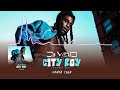 Dj vielo x burna boy  city boy remix club