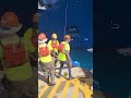 係留ロープの隠れた危険：港湾労働者のための安全教訓