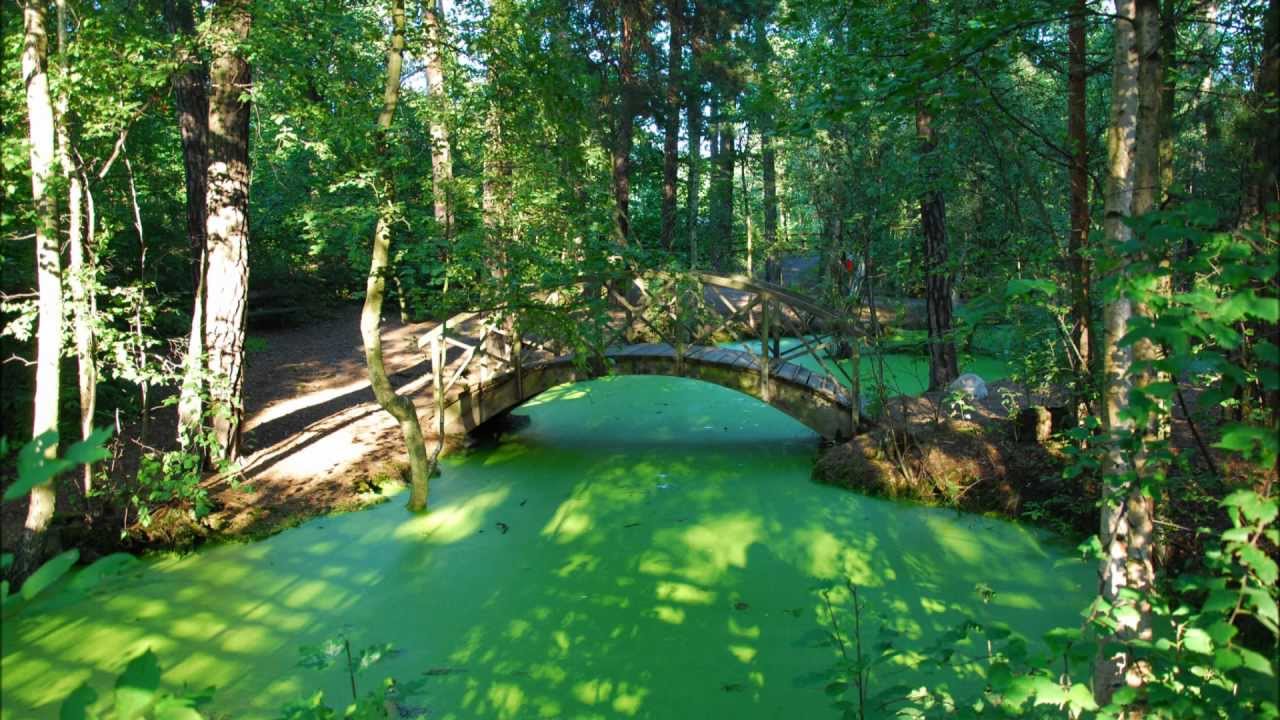 Stroie Razvan Razvan Stroie - The journey - YouTube
