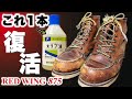 超エコメンテ レッドウィングはオリブ油だけで復活します！