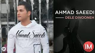 Ahmad Saeedi - Dele Divooneh || احمد سعیدی - دل دیوونه