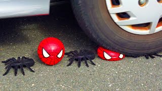 スパイダーマンとクモを車でひき潰す！タイヤで踏んでみた結果！？ストレスの解消