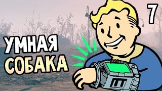 Мульт Fallout 4 Прохождение На Русском 7 УМНАЯ СОБАКА