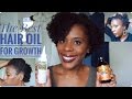 Wild Growth Hair Oil vs Jamaican Black Castor Oil | Best Hair Oil for Fuller and Thicker Hair