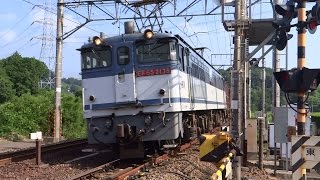 JR貨物 EF65-2138[新]号機＋コキ20B 3071レ(新鶴見⇒西浜松) 2014/07/26