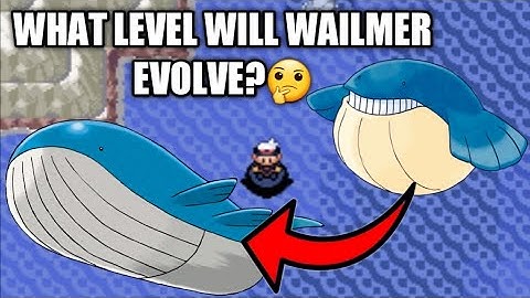 How to Evolve Wailmer to Wailord  on Pokemon Ruby/Sapphire/Emerald