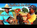 SIGNIFICADOS DOS SINAIS NOS CAVALOS | e como saber a idade de seu cavalo pelo os dentes.