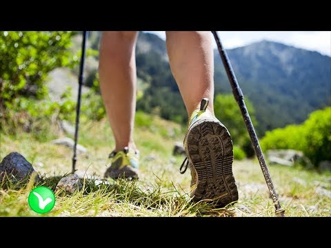 Ходьба с палками (Скандинавская ходьба). Польза и вред ходьбы пешком.