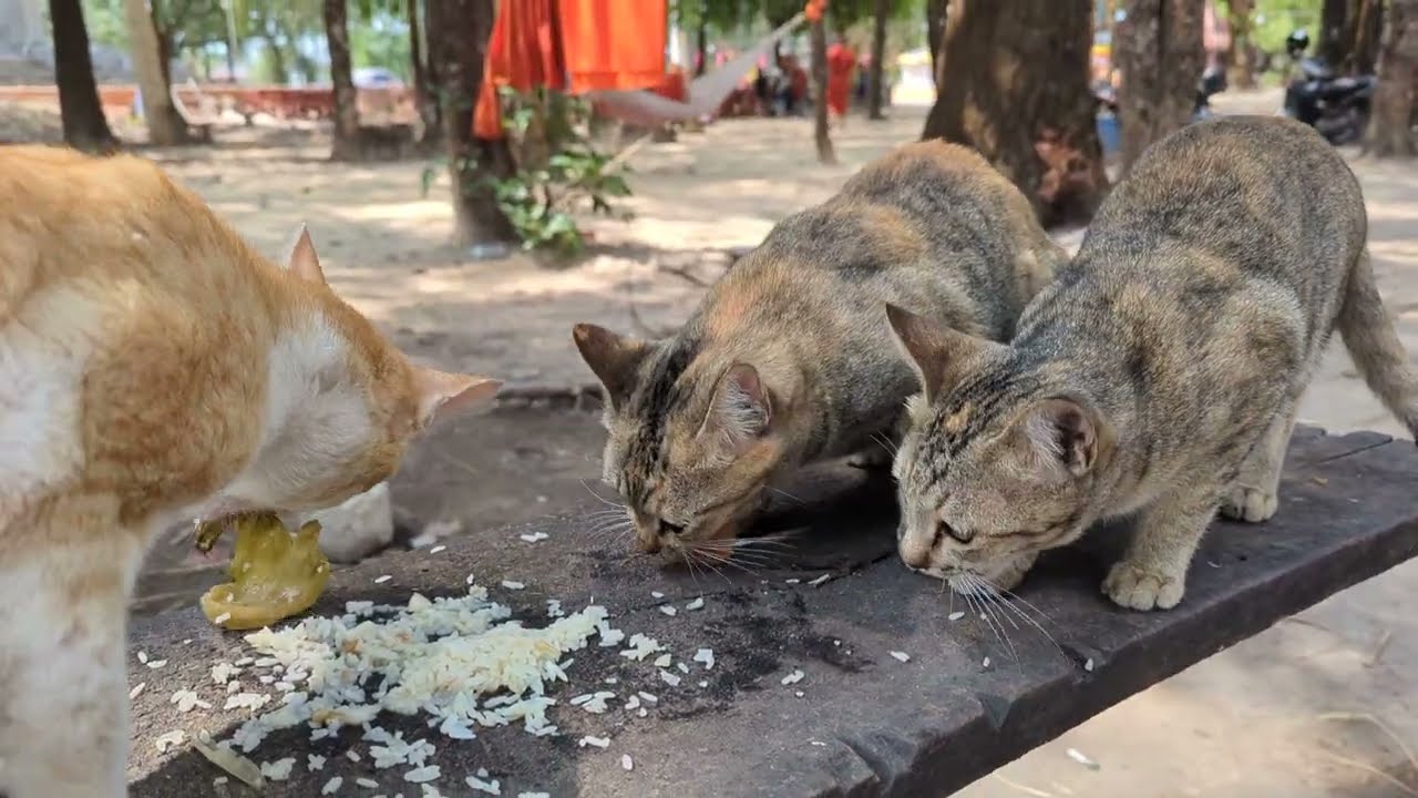 It's past lunchtime, I'm crying.