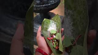 Temple Festivals In Kerala #viral #bucketlist #india #travel  #wanderlust #traveler #tourism