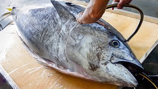Sharp Katana! Fish Samurai Cuts Giant Bluefin Tuna to Luxurious Nigiri Sushi / 炙燒黑鮪魚金三角握壽司