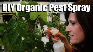 DIY Organic Pesticide Spray with Neem Oil, Peppermint Oil, Worm Tea