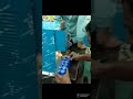 Video Image