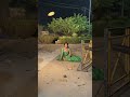 CRYING SCENE BTS OF COLOURS TV!! #shorts #behindthescence #suhaagan