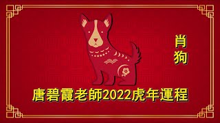 狗 - 虎年2022十二生肖運程 - 碧霞老師
