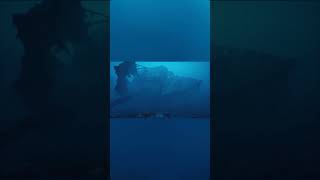 Titanic being consumed by organism that feeds on steel #history #ocean