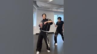 Hyunjin & Han Doing Swag Dance Challenge #straykids #han #hyunjin #stay