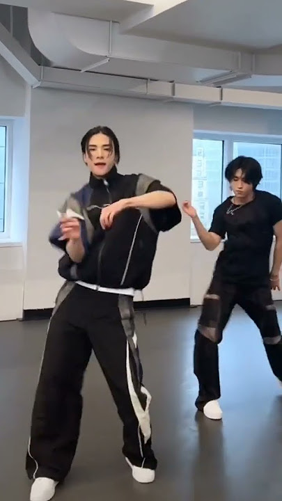 Hyunjin & Han Doing Swag Dance Challenge #straykids #han #hyunjin #stay