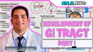 Gastrointestinal | Development \u0026 Embryology of the GI Tract: Part 1