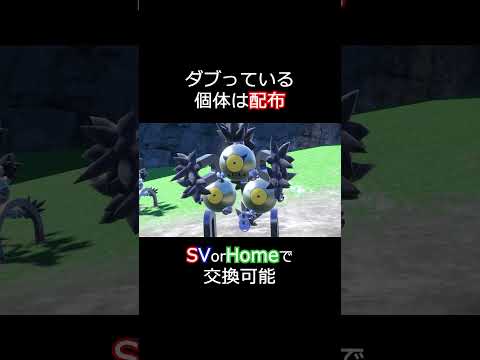 モンボ統一で色違い図鑑完成目指す【35日目】 #ポケモンレジェンズza #ポケモンsv  #ポケモン配布