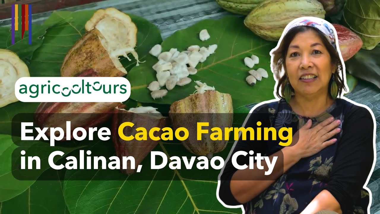 The Chocolate Farm That’s Changing How Davao Grows Cacao (AgriCoolTours S1EP4)