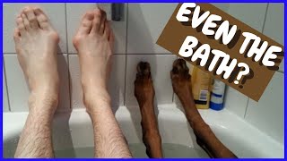 Why Does My Dog Follow Me Everywhere? Here's The TOP 5 REASONS WHY