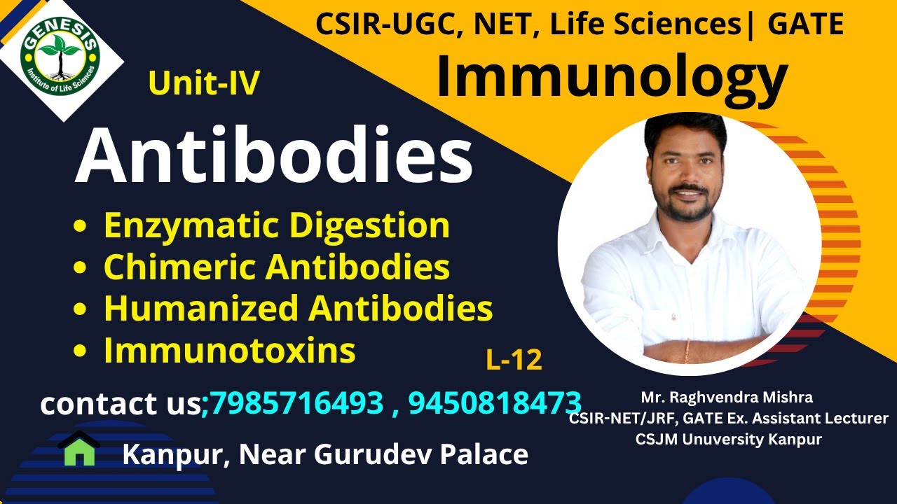 Enzymatic Digestion of Antibodies | Chimeric & Humanized Antibodies | Immunology |#genesis_institute