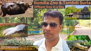 Bondla Wild Life Santuary Goa I Bondla Zoo | Tambdi Surla Mahadev Temple | Off beat Goa in a Day