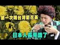 【精華版】第一次喝台灣菊花茶 日本人長見識了