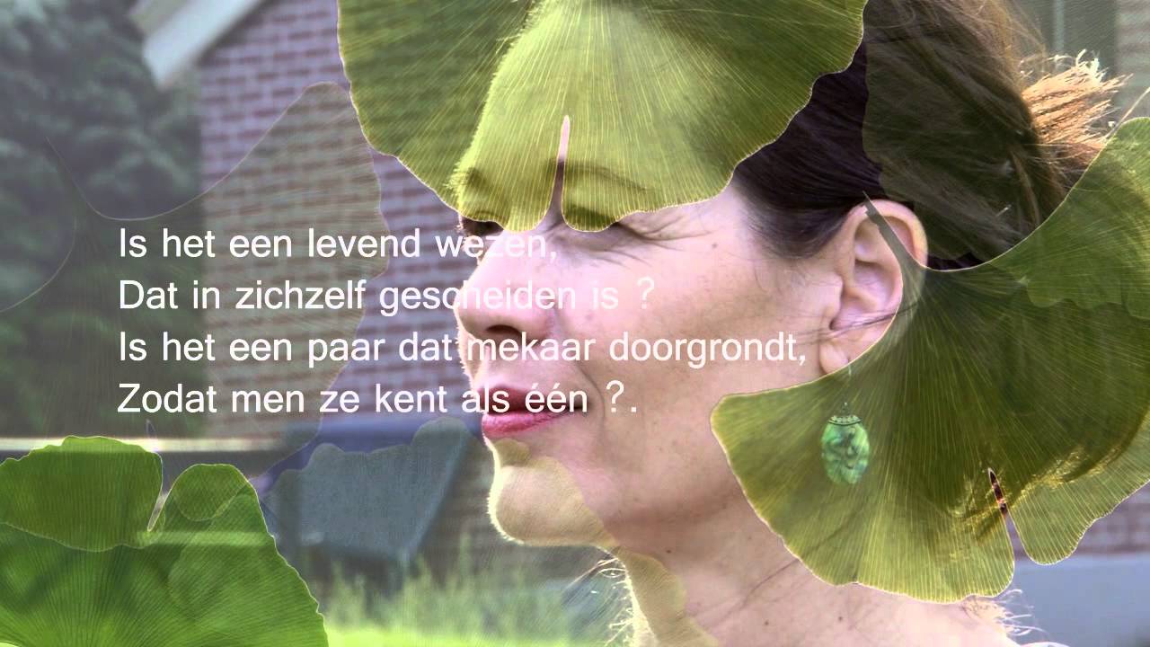 Ginkgo Biloba YouTube