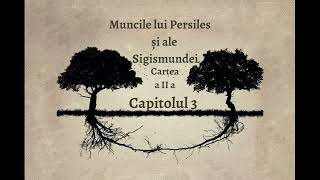 Muncile lui Persiles și ale Sigismundei - Capitolul 26/79 - de Miguel De Cervantes - Audiobook