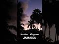 Hope Gardens sunrise vibes. JAMAICA.