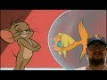 Tom And Jerry Filet Meow 1966 Rewatch Can Tom Outsmart Jerry And Get The Goldfish 