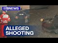Man and woman allegedly shot at in adelaide  9 news australia