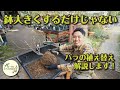 バラの植え替え解説